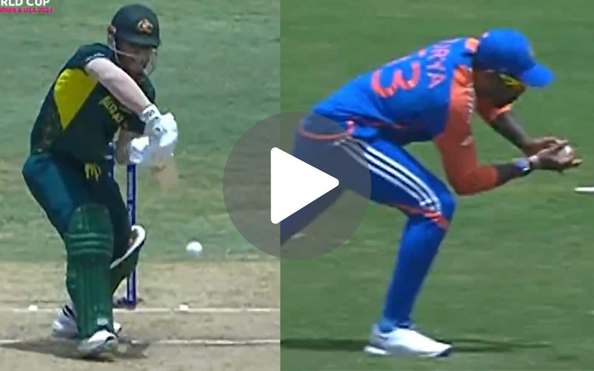[Watch] Arshdeep's Classic Outswinger-Surya's Diving Catch Hunt Down Nervous Warner